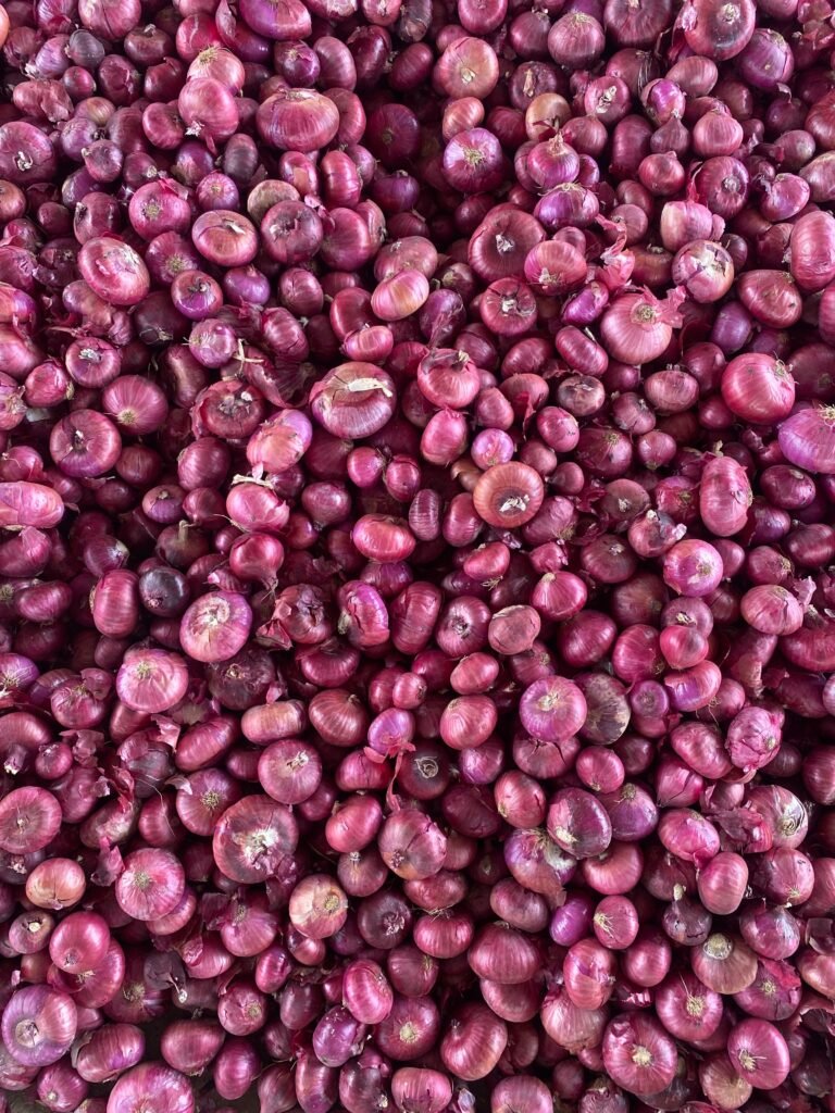 onion