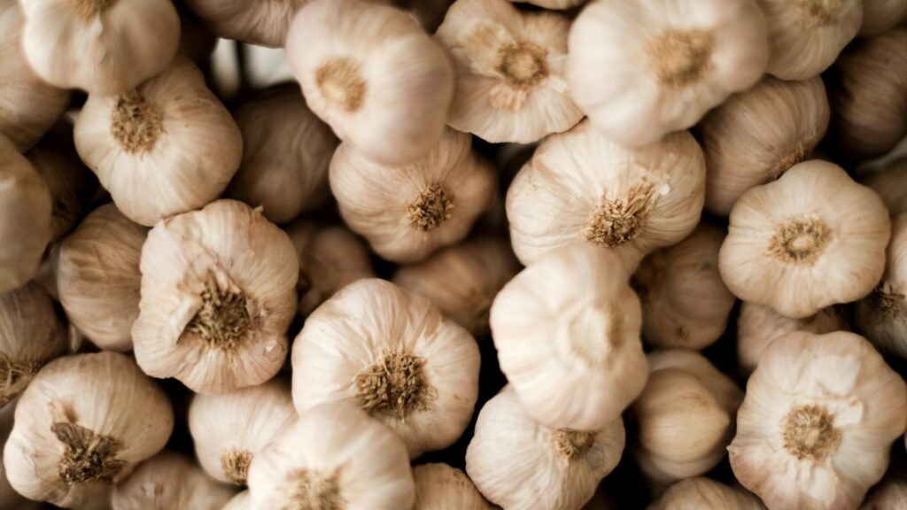 Garlic