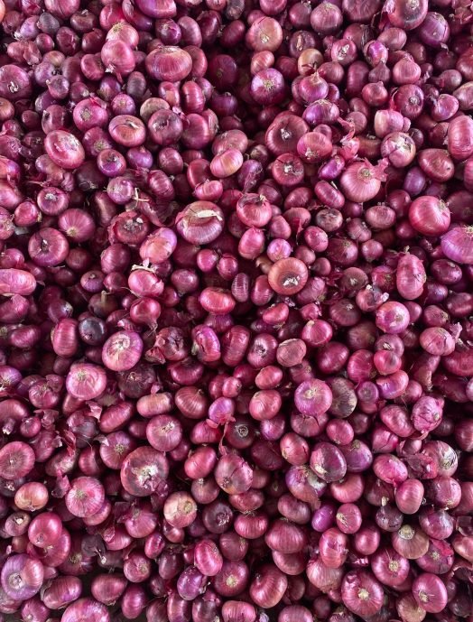 onion